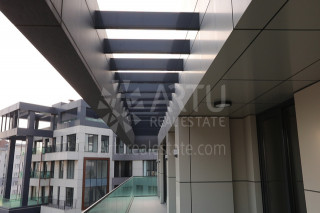 1593004724whilj-jx2a34721064-1