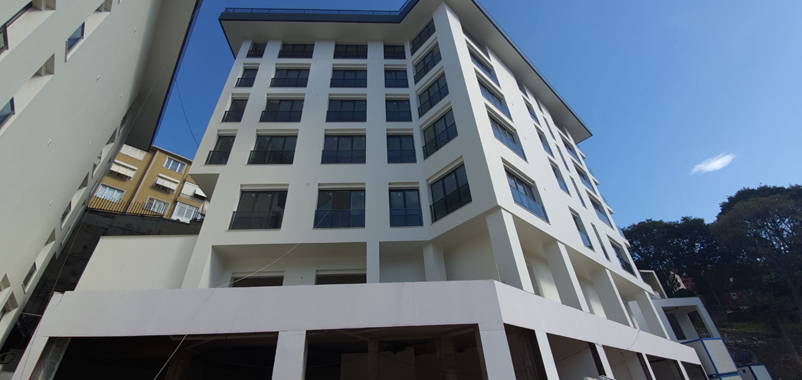 1607606341136_3601f50c-c21f-4e4a-a709-0c864f7c2289-1